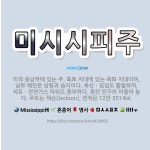 🌟미시시피주: 미국 동남부에 있는 주. 흑토 지대에 있는 목화 지대이며, 남부 해안은 삼림과 습지이다. 축... - 표준국어대사전