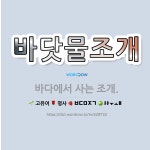 🌟바닷물조개: 바다에서 사는 조개. - 표준국어대사전