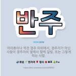 🌟반주: 마라톤이나 역전 경주 따위에서, 경주자가 아닌 사람이 경주자의 옆에서 함께 달림. 또는 그렇게 하... - 표준국어대사전