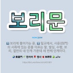 🌟보리문: 밀교에서, 사문(四門)의 서쪽에 있는 문을 이르는 말. 발심, 수행, 보리, 열반의 네 단계 가... - 표준국어대사전