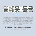 🌟빌레못 동굴: 제주특별자치도 제주시 애월읍 어음리에 있는 용암 동굴. 구석기 시대의 동굴로 1973년에 ... - 표준국어대사전