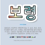 🌟보령: 충청남도 서남부의 서해안에 있는 시. 농산, 축산, 임산, 수산물이 많이 난다. 도화담, 대천 해... - 표준국어대사전
