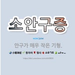 🌟소안구증: 안구가 매우 작은 기형. - 표준국어대사전