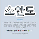 🌟소안도: 전라남도 완도군 소안면 비자리에 속하는 섬. 곳곳에 평야와 간척지가 있어서 쌀ㆍ보리ㆍ두류ㆍ고구마... - 표준국어대사전