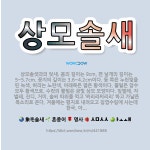 🌟상모솔새: 상모솔샛과의 텃새. 몸의 길이는 9cm, 편 날개의 길이는 5~5.7cm, 꽁지의 길이는 3.... - 표준국어대사전