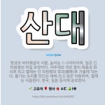 🌟산대: 볏과의 여러해살이 식물. 높이는 1~2미터이며, 잎은 긴 타원형의 피침 모양이다. 자주색의 작은 ... - 표준국어대사전