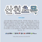 🌟산천초목: 산과 내와 풀과 나무라는 뜻으로, ‘자연’을 이르는 말. (자연: 사람의 힘이 더해지지 아니하... - 표준국어대사전