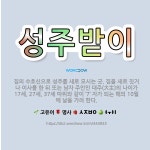 🌟성주받이: 집의 수호신으로 성주를 새로 모시는 굿. 집을 새로 짓거나 이사를 한 뒤 또는 남자 주인인 대... - 표준국어대사전