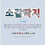 🌟소갈딱지: 마음이나 속생각을 낮잡아 이르는 말., ‘마음보’를 낮잡아 이르는 말. (마음보: 마음을 쓰는... - 표준국어대사전