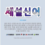 🌟세설신어: 중국 육조 시대의 송나라 사람 유의경이 편찬한 일화집. 후한(後漢) 말기에서 동진(東晉) 시기... - 표준국어대사전