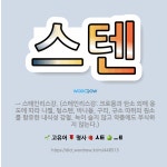 🌟스텐: → 스테인리스강. (스테인리스강: 크로뮴과 탄소 외에 용도에 따라 니켈, 텅스텐, 바나듐, 구리,... - 표준국어대사전