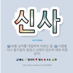 🌟신사: 사람됨이나 몸가짐이 점잖고 교양이 있으며 예의 바른 남자., 보통 남자를 대접하여 이르는 말. - 표준국어대사전