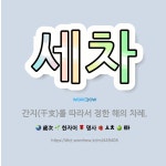 🌟세차: 간지(干支)를 따라서 정한 해의 차례. - 표준국어대사전