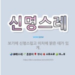 🌟신명스레: 보기에 신령스럽고 이치에 밝은 데가 있게. - 표준국어대사전
