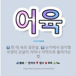 🌟어육: 헌 데 속의 궂은살., 눈가에서 삼각형 모양의 군살이 자라나 각막으로 들어가는 병. - 표준국어대사전