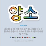 🌟양소: 과거를 볼 때, 시험관과 과거 볼 사람을 각각 다른 곳에 수용하기 위하여 두 곳으로 나누어 마련한... - 표준국어대사전