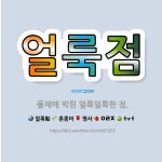 🌟얼룩점: 물체에 박힌 얼룩얼룩한 점. - 표준국어대사전