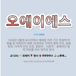 🌟오에이에스: 1948년 4월에 보고타에서 채택된 미주 기구 헌장에 바탕을 둔 아메리카 대륙 28개국의 지... - 표준국어대사전