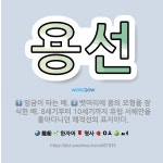 🌟용선: 임금이 타는 배., 뱃머리에 용의 모형을 장식한 배. 8세기부터 10세기까지 유럽 서해안을 돌아다... - 표준국어대사전
