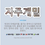 🌟자주개밀: 볏과의 두해살이풀. 줄기는 뭉쳐나고 밑부분은 자줏빛을 띠며, 풀빛의 꽃이 수상(穗狀) 화서로 ... - 표준국어대사전