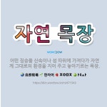 🌟자연 목장: 어떤 짐승을 산속이나 섬 따위에 가져다가 자연계 그대로의 환경을 지어 주고 놓아기르는 목장. - 표준국어대사전