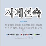 🌟자예선숙: 한 꽃에서 암술이 수술보다 먼저 성숙하는 현상. 목련, 질경이 따위에서 볼 수 있다. - 표준국어대사전