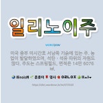 🌟일리노이주: 미국 중부 미시간호 서남쪽 기슭에 있는 주. 농업이 발달하였으며, 석탄ㆍ석유 따위의 자원도 ... - 표준국어대사전