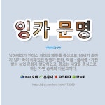 🌟잉카 문명: 남아메리카 안데스 지대의 페루를 중심으로 16세기 초까지 잉카 족이 이루었던 청동기 문화. ... - 표준국어대사전