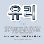 🌟유리: 미국의 화학자(1893~1981). 중수소(重水素)를 발견하였으며, 제이 차 세계 대전 중에는 중... - 표준국어대사전