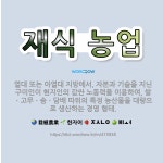 🌟재식 농업: 열대 또는 아열대 지방에서, 자본과 기술을 지닌 구미인이 현지인의 값싼 노동력을 이용하여, ... - 표준국어대사전