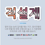 🌟적설계: 쌓여 있는 눈의 깊이를 재는 기구. 정사각형의 나무 판을 땅 위에 수평으로 놓고 그 가운데에 수... - 표준국어대사전