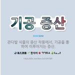 🌟기공 증산: 관다발 식물의 증산 작용에서, 기공을 통하여 이루어지는 증산. - 표준국어대사전