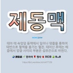 🌟제동맥: 태아 때 속엉덩 동맥에서 일어나 탯줄을 통하여 태반으로 혈액을 옮기는 혈관. 태어난 후에는 배꼽... - 표준국어대사전