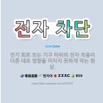 🌟전자 차단: 전기 회로 또는 기구 따위의 전자 작용이 다른 데로 영향을 미치지 못하게 막는 현상. - 표준국어대사전