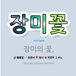 🌟장미꽃: 장미의 꽃. - 표준국어대사전