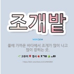 🌟조개밭: 뭍에 가까운 바다에서 조개가 많이 나고 많이 잡히는 곳. - 표준국어대사전