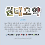 🌟천태오약: 녹나뭇과의 상록 관목. 높이는 3미터 정도이며, 잎은 어긋나고 넓은 타원형이다. 3~4월에 연... - 표준국어대사전