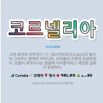 🌟코르넬리아: 고대 로마의 귀부인(?~?). 대스키피오(大Scipio)의 딸이며 그라쿠스 형제의 어머니로,... - 표준국어대사전