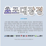 🌟초조대장경: 고려 현종 때에 간행된 고려 대장경의 초간본. 대반야바라밀다경은 대장경 가운데 제일 먼저 수... - 표준국어대사전