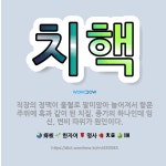 🌟치핵: 직장의 정맥이 울혈로 말미암아 늘어져서 항문 주위에 혹과 같이 된 치질. 종기의 하나인데 임신, ... - 표준국어대사전