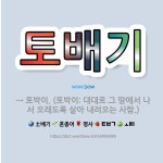 🌟토배기: → 토박이. (토박이: 대대로 그 땅에서 나서 오래도록 살아 내려오는 사람.) - 표준국어대사전