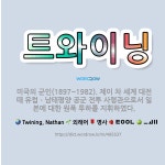 🌟트와이닝: 미국의 군인(1897~1982). 제이 차 세계 대전 때 유럽ㆍ남태평양 공군 전투 사령관으로서... - 표준국어대사전