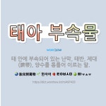 🌟태아 부속물: 태 안에 부속되어 있는 난막, 태반, 제대(臍帶), 양수를 통틀어 이르는 말. - 표준국어대사전