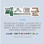 페스트균: 페스트를 일으키는 병원균. 그람 음성의 작은 간균(杆菌)으로, 구형(球形) 또는 선상(線狀)으... - 표준국어대사전