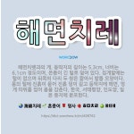 🌟해면치레: 해면치렛과의 게. 등딱지의 길이는 5.3cm, 너비는 6.1cm 정도이며, 온몸이 긴 털로 덮... - 표준국어대사전