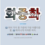 🌟화중화: 여러 가지 꽃 가운데 가장 아름다운 꽃., 뛰어나게 어여쁜 여자. - 표준국어대사전