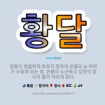 🌟황달: 담즙이 원활하게 흐르지 못하여 온몸과 눈 따위가 누렇게 되는 병. 온몸이 노곤하고 입맛이 없으며 ... - 표준국어대사전