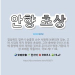 🌟안향 초상: 경상북도 영주시 순흥면 소수 서원에 보존되어 있는, 고려 시대의 학자 안향의 초상화. 고려 ... - 표준국어대사전