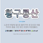 🌟황구룡산: 노란색 바탕에 옆으로 돌아가며 세 단으로 아홉 마리의 용을 그린 양산 모양의 의장(儀仗). - 표준국어대사전