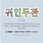 🌟귀인두관: 가운데귀와 코 인두를 연결하는 길이 약 3.5cm의 관. 고실과 바깥의 기압을 같게 조절하는 ... - 표준국어대사전